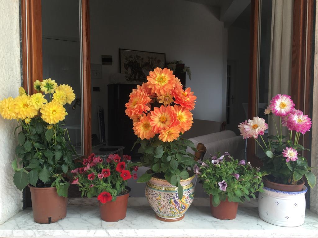 Holiday home La Maison Doree